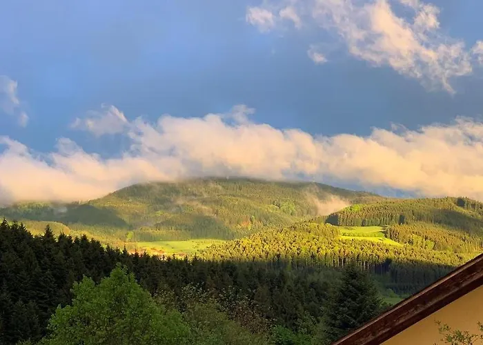Black Forest Appartement - Brandenkopfblick