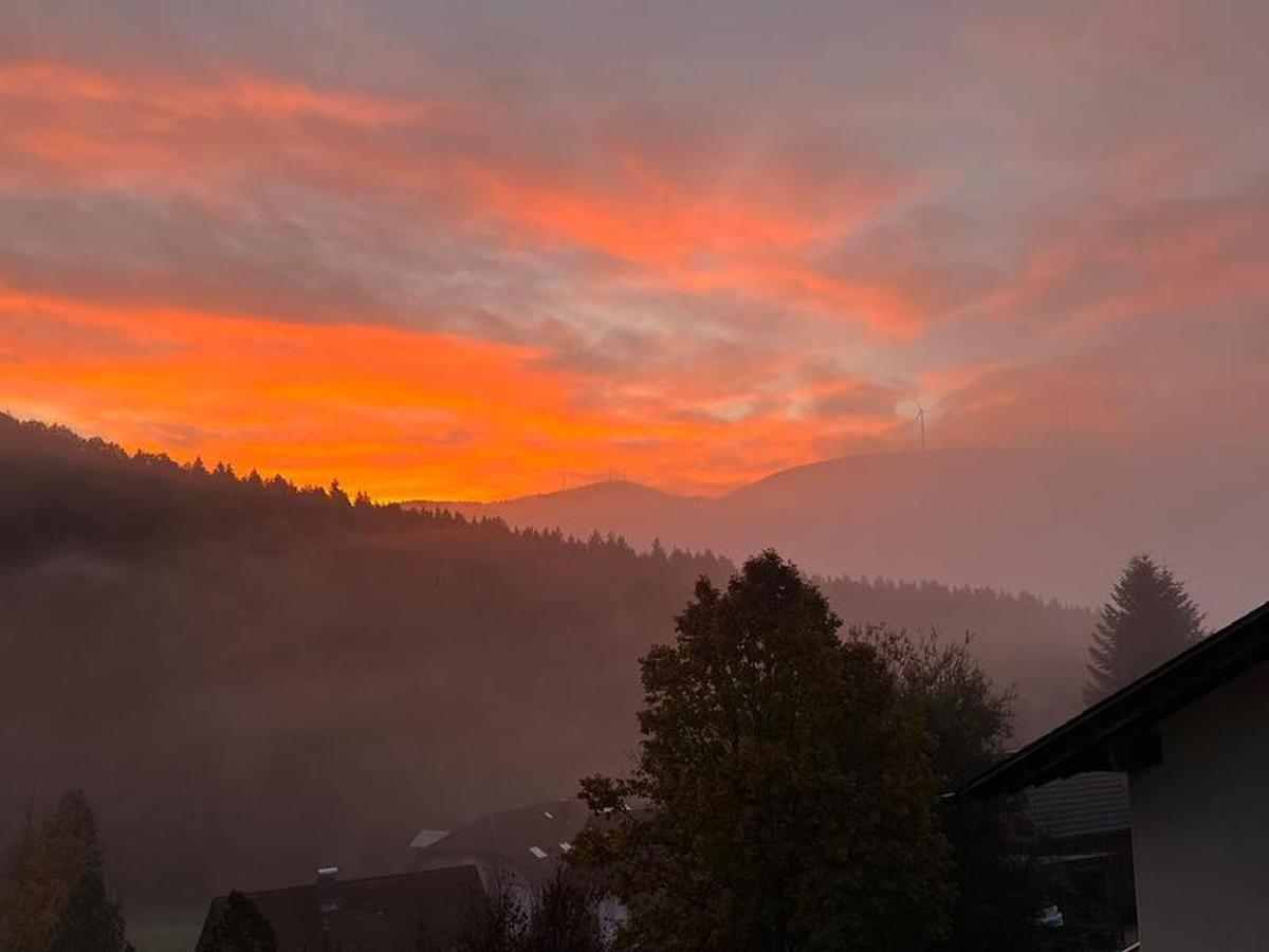 Black Forest - Brandenkopfblick *