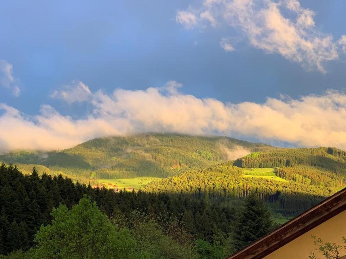 Black Forest - Brandenkopfblick Целль-ам-Хармерсбах